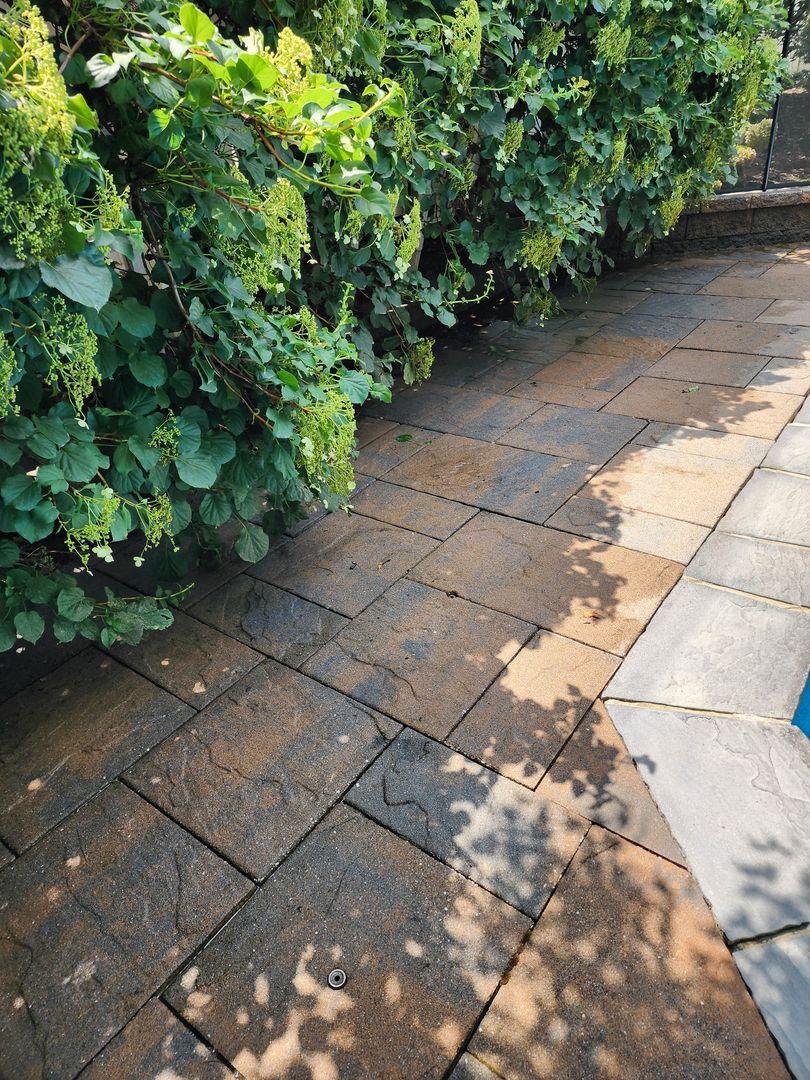 Complete Power Wash Service